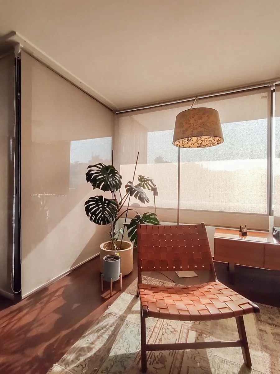 Cortina roller screen — Decotip